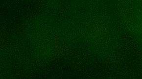 Decenas de personas salen a los parques.