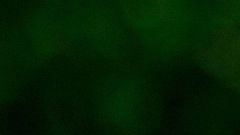 Decenas de personas salen a los parques.