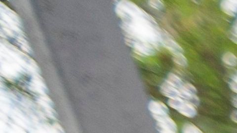 Gemelas becas millón dólares Milwaukee Arianna Williams Arielle Williams Academia Universitaria Dr. Howard Fuller Universidad deuda estudiantil beca coronavirus