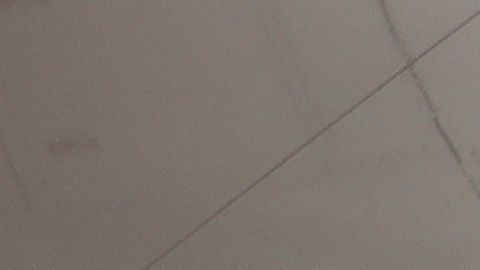 American airlines aerolínea coronavirus récord Argentina Miami COVID-19 SOYA