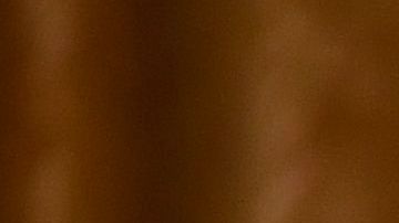 El presidente Donald Trump recibió una tarjeta de débito con su nombre.