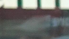 El Gobierno no ha incluido a los indocumentados en su ayuda económica.