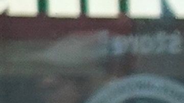 El Gobierno no ha incluido a los indocumentados en su ayuda económica.