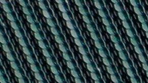 El documento con el protocolo médico de Ligas Mayores consta de 67 páginas.