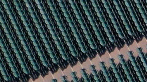 El documento con el protocolo médico de Ligas Mayores consta de 67 páginas.