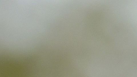 Biden suspendió todos sus eventos de campaña por el coronavirus.