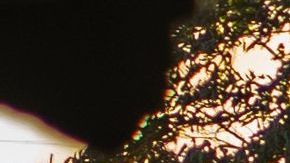 Protestas en Minneapolis