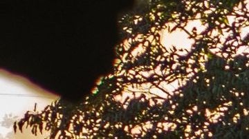 Protestas en Minneapolis