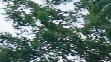 Las protestas del sábado terminaron con disturbios.