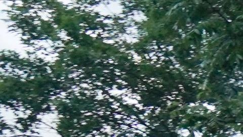 Las protestas del sábado terminaron con disturbios.