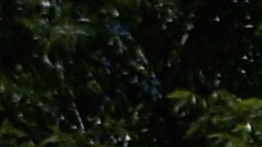 Arizona levantará el confinamiento el viernes.