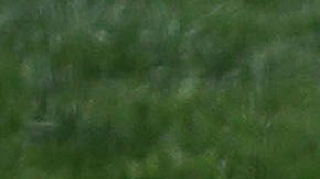 La Organización de Béisbol de Corea (KBO) iniciará su temporada regular a puerta cerrada.