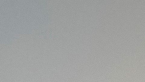 Donald Trump Casa Blanca