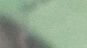 ayuda económica cheque Coronavirus COVID-19 Dinero errores estímulo Get My Payment herramienta internet IRS pago rastreo sitio web