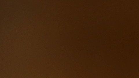 Los cheques se enviaron con el nombre y la firma de Trump.