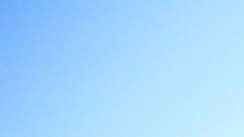 Imagen del South Pointe Park de Miami durante la pandemia del coronavirus.