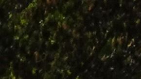 La vida lució normal en Central Park el fin de semana.