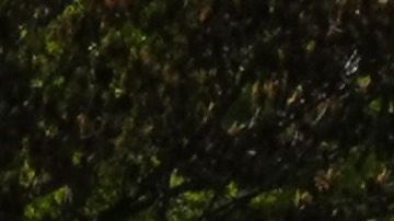 La vida lució normal en Central Park el fin de semana.