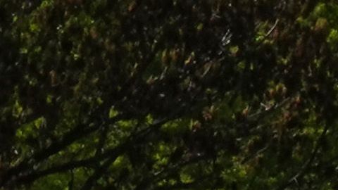 La vida lució normal en Central Park el fin de semana.