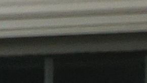 Heuwetters perros Buddy Barley cerveza coronavirus pandemia COVID-19 Huntington Nueva York golden retriever distanciamiento social