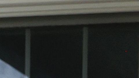 Heuwetters perros Buddy Barley cerveza coronavirus pandemia COVID-19 Huntington Nueva York golden retriever distanciamiento social