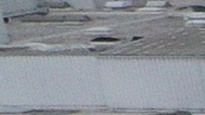 Elon Musk Tesla California Fremont Alameda Automóviles Covid-19 coronavirus