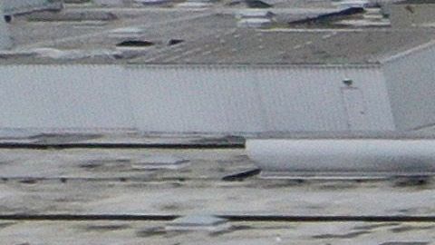 Elon Musk Tesla California Fremont Alameda Automóviles Covid-19 coronavirus