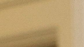 Bright es más pesimista que el Gobierno respecto a la fecha de la vacuna.