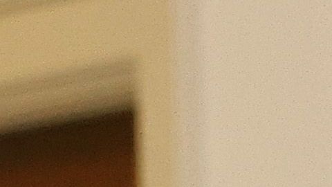 Bright es más pesimista que el Gobierno respecto a la fecha de la vacuna.