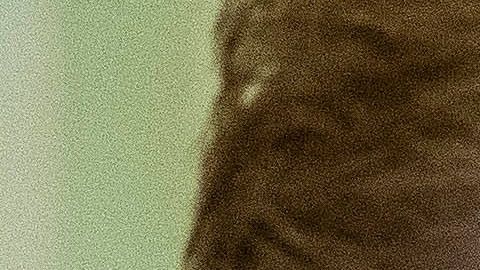 El presidente acusa censura de voces conservadoras en redes sociales, como Twitter.