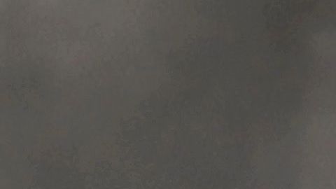 Un auto de LAPD  incendiado durante las manifestaciones tras la muerte de George Floyd en Los Ángeles.