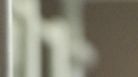 Paloma en una jaula.