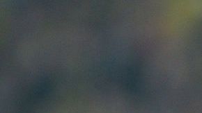 Jürgen Klopp tomando cerveza después de un partido dirigiendo al Borussia Dortmund.