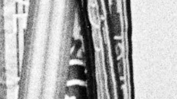 Graceland se alista para recibir a miles de visitantes tras cerrar sus puertas a causa del COVID.