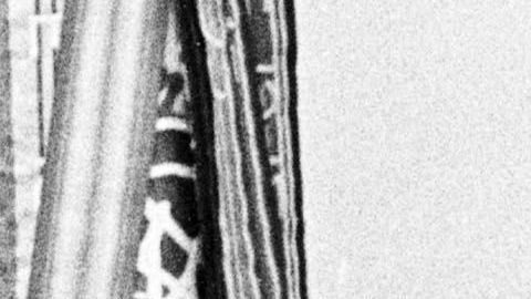 Graceland se alista para recibir a miles de visitantes tras cerrar sus puertas a causa del COVID.