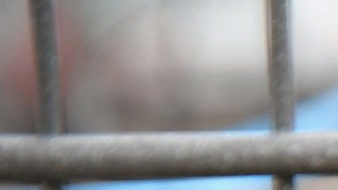 Walmart Jet.com Doug McMillon coronavirus ventas comercio en línea compras