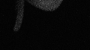 Joe 'Descalzo' Jackson jugó en 1910 para los Pelícanos de Nueva Orleans de Ligas Menores.