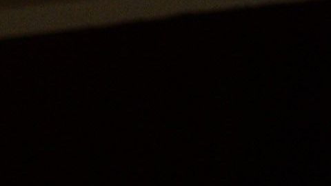 Evander Holyfield y Mike Tyson