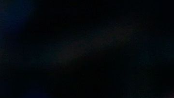 El tradicional certamen en Williamsport no se realizará este año.