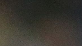 Darren McFadden fue condenado a cuatro días en prisión.