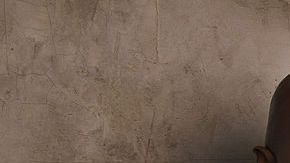 Evander Holyfield y Mike Tyson son muy buenos amigos en la actualidad.