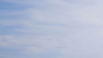 El hombre quería relajarse un rato de estar en casa.