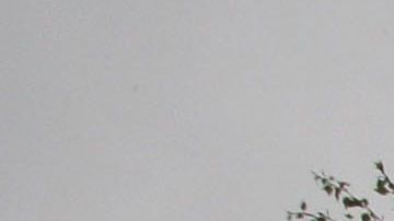 Vacuna Oxford coronavirus AstraZeneca Estados Unidos Johnson & Johnson Moderna Inc. Sanofi BARDA producción