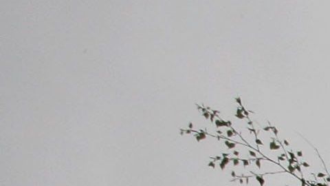 Vacuna Oxford coronavirus AstraZeneca Estados Unidos Johnson & Johnson Moderna Inc. Sanofi BARDA producción