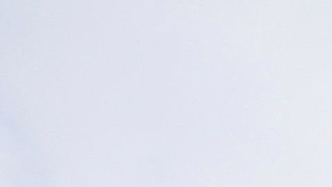 El percance ocurrió en el Wrigley Field durante la temporada 2018.