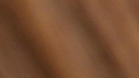 PESO DÓLAR tipo de cambio México coronavirus COVID-19