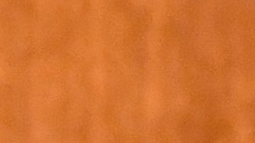 Patrick Ewing, de 57 años de edad, salió bien librado del coronavirus.