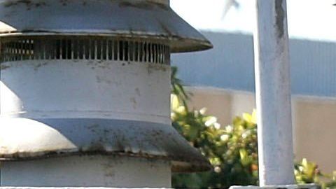 Denuncian que los traslados de cárceles estatales contribuyen a propagar el virus.