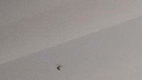 Centro comercial Woodfield Simon Property Group Schaumburg COVID-19 reapertura J.B. Pritzker Illinois restaurantes