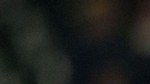 Mike Trout y Albert Pujols han mostrado su compañerismo en los Angels.